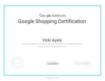 Google Shopping Certification