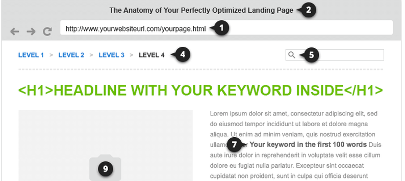 THE ANATOMY OF A PERFECTLY OPTIMIZED LANDING PAGE